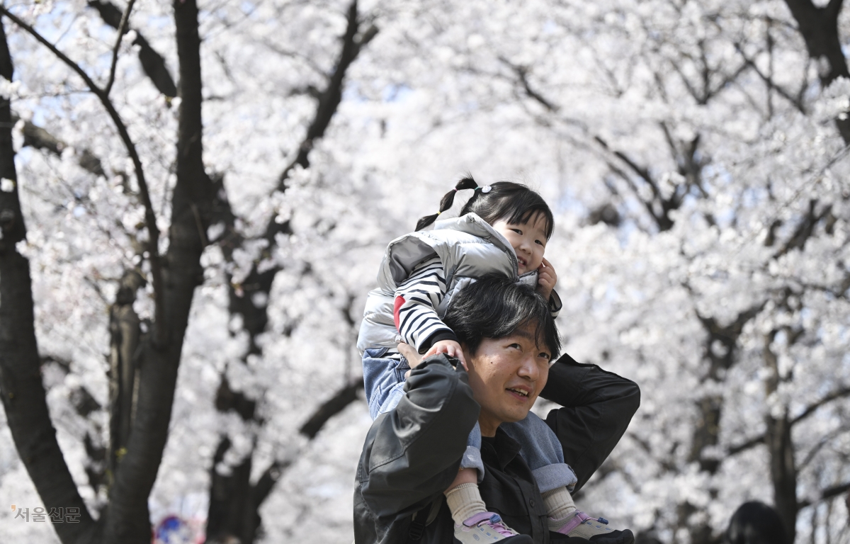 한 시민이 2일 벚꽃이 만발한 서울 영등포구 여의도 윤중로 벚꽃길을 아이와 함께 거닐며 봄 정취를 즐기고 있다. 2026.4.2 이지훈 기자