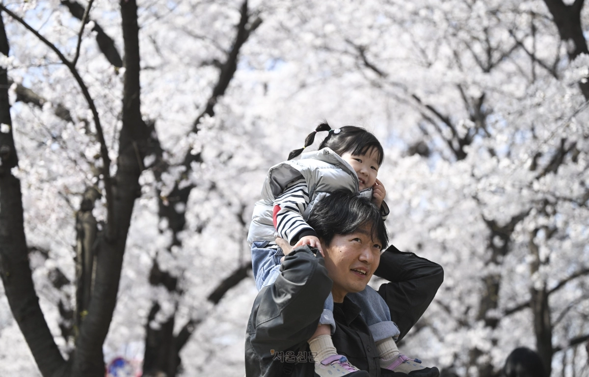 한 시민이 2일 벚꽃이 만발한 서울 영등포구 여의도 윤중로 벚꽃길을 아이와 함께 거닐며 봄 정취를 즐기고 있다. 2026.4.2 이지훈 기자