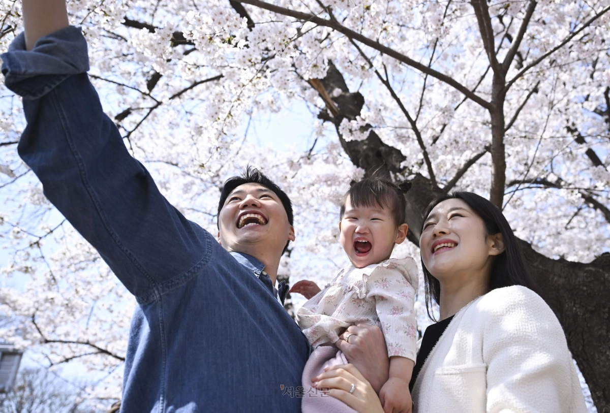 한 가족이 2일 벚꽃이 만발한 서울 영등포구 여의도 윤중로에서 벚꽃을 배경으로 기념사진을 찍고 있다. 2026.4.2 이지훈 기자