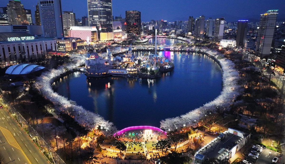 지난해 4월 어느 밤, 만개한 벚나무가 석촌호수 서호를 빼곡하게 둘러싸고 있다. 산책로의 조명을 받은 벚꽃이 잔잔한 호수 표면과 어우러져 낭만적인 밤 풍경을 이루고 있다. 송파구 제공