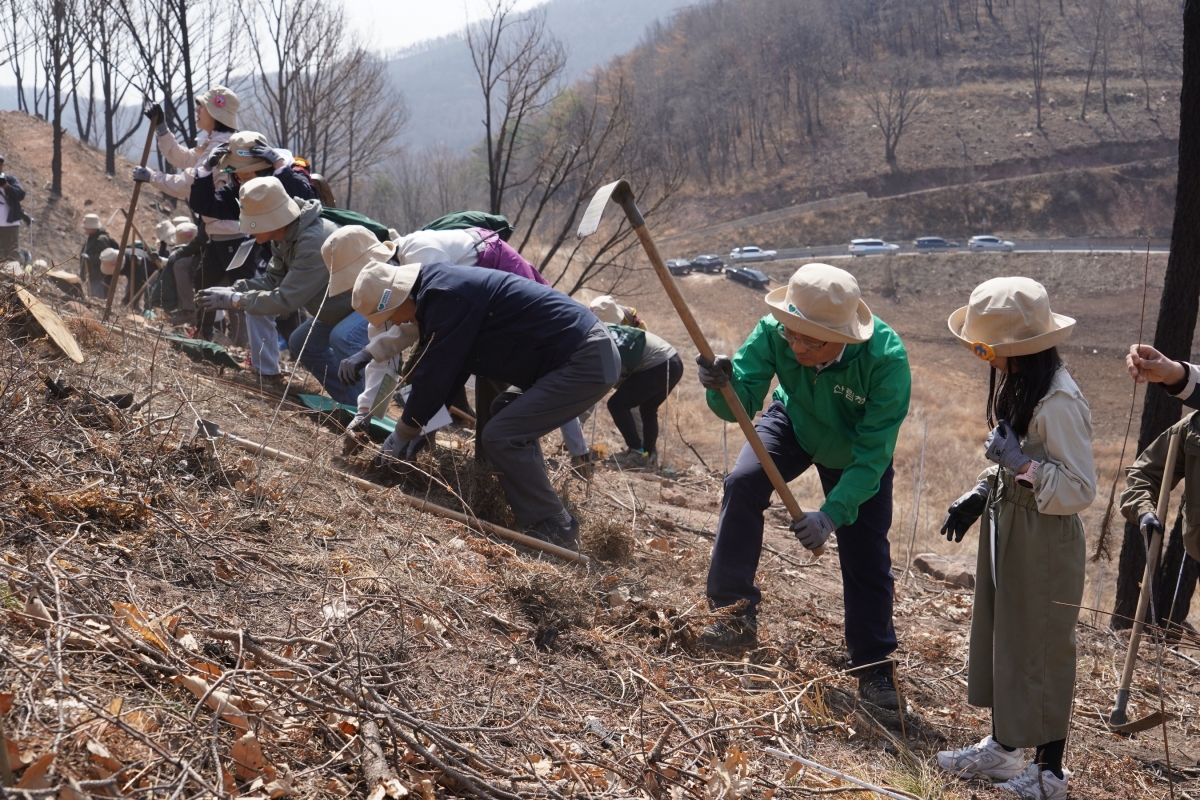 유한킴벌리가 지난해 3월 대형 산불 피해를 본 경북 안동에서 지난달 28일 진행한 ‘우리강산 푸르게 푸르게 2026 신혼부부 나무 심기’ 행사.   산림청 제공