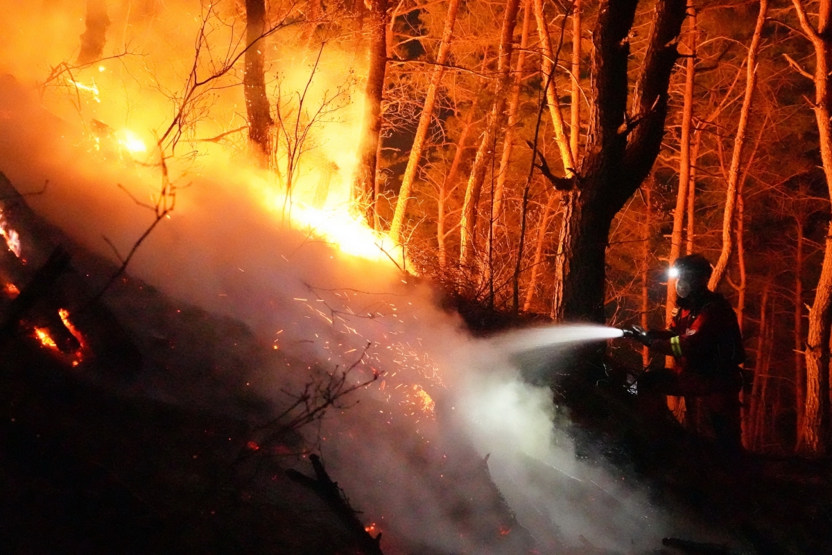 2023년 3월 경남 합천 산불 현장. 진화 대원들이 눈앞에서 확산하며 연기를 뿜어대는 불길에 물을 뿌리고 있다. 산림청 제공