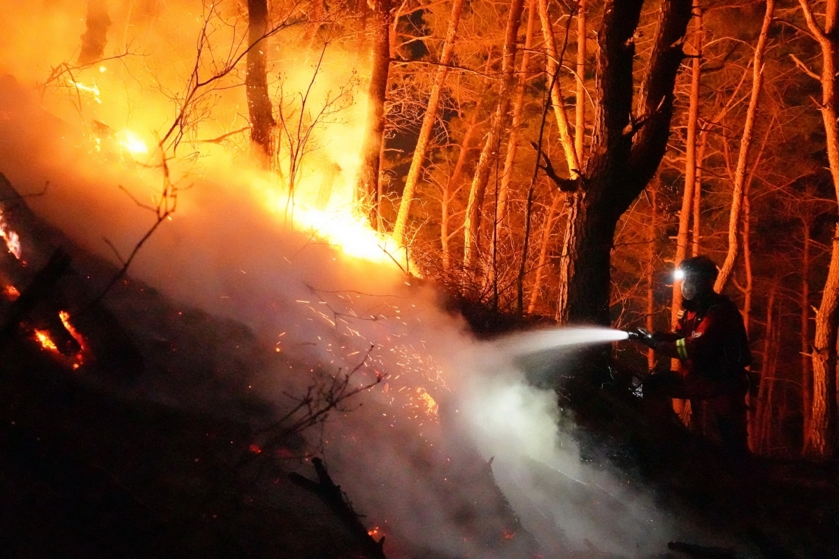 2023년 3월 경남 합천 산불 현장. 진화 대원들이 눈앞에서 확산하며 연기를 뿜어대는 불길에 물을 뿌리고 있다. 산림청 제공