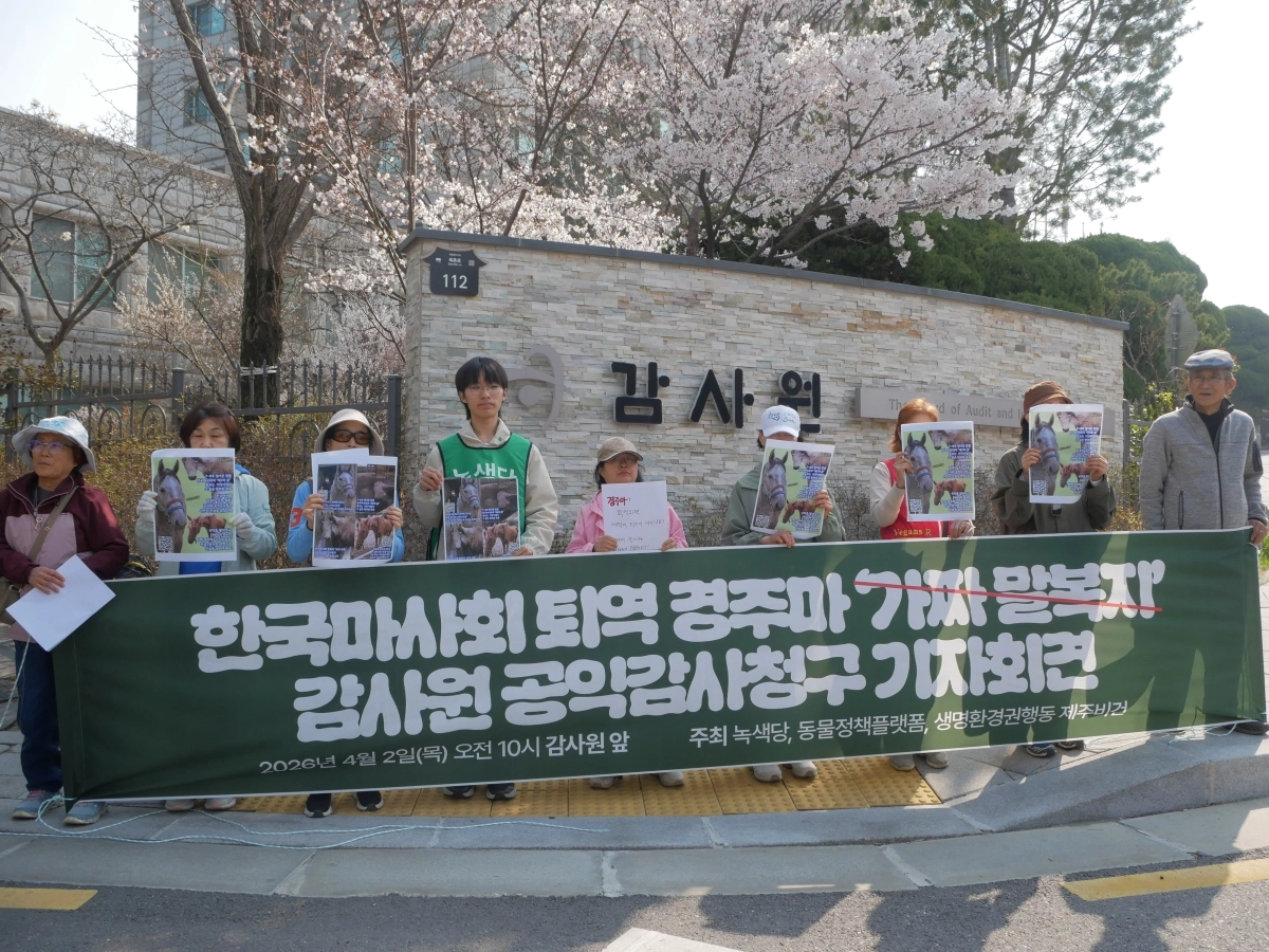 녹색당, 동물정책플랫폼, (사)생명환경권행동 제주비건은 2일 감사원에  한국마사회의 퇴역 경주마 ‘승용전환율’ 통계와 관련한 공익감사청구를 제출하기 전 기자회견을 열고 있다. 녹색당 제공