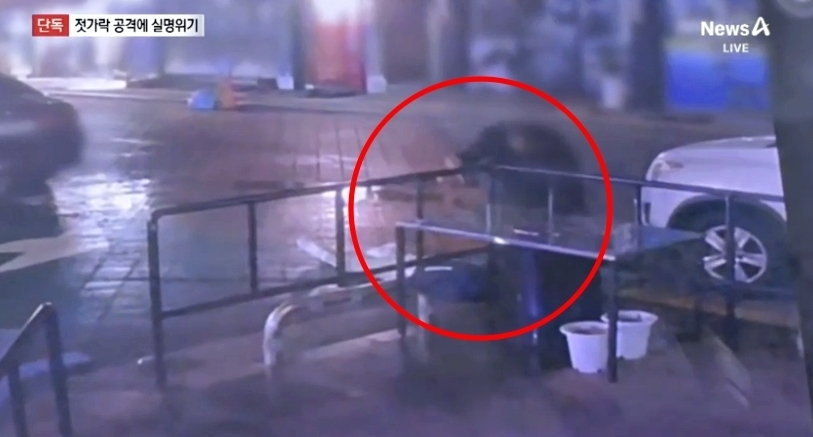 50대 중국인 남성이 쓰러진 피해자에게 폭력을 가하는 모습. 채널A 보도화면 캡처