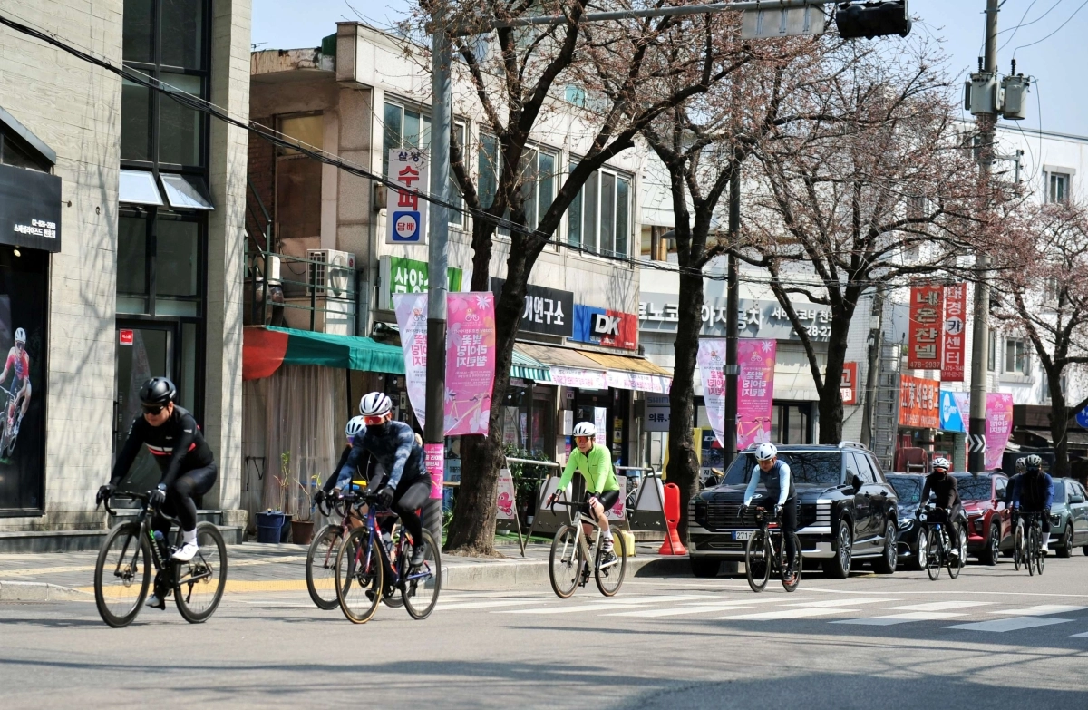 2026 천호자전거거리 벚꽃 라이딩 챌린지에 참가한 라이더들이 벚꽃 아래로 자전거를 타고 있다. 강동구 제공