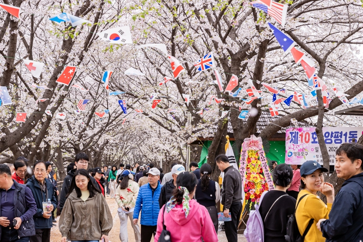 지난해 서울 영등포구 양평1동에서 열린 벚꽃축제 현장. 영등포구 제공