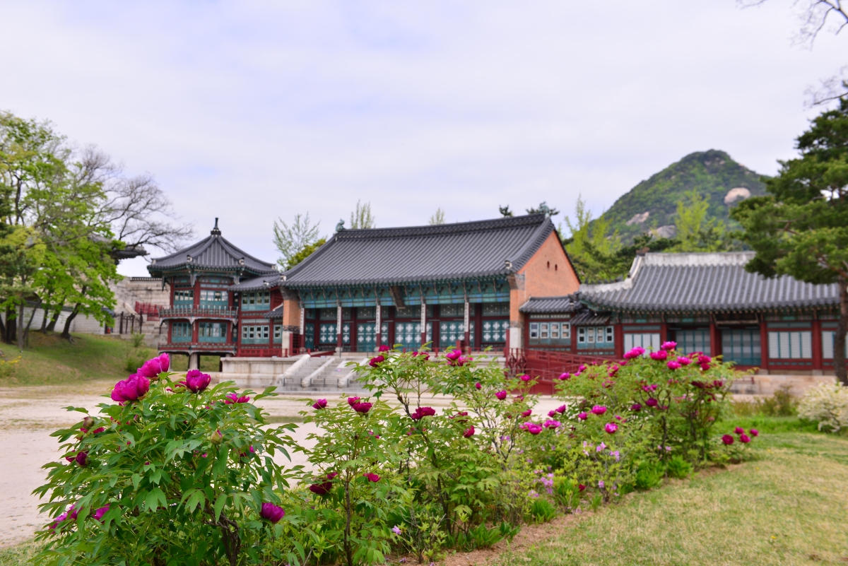 모란이 핀 경복궁 집옥재.