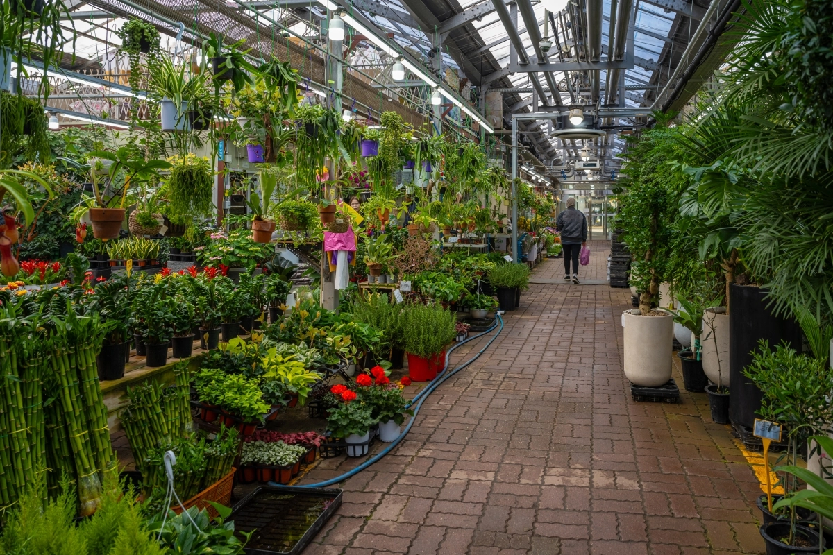 식물원 같은 양쟈꽃시장 분화 매장.