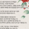 김동연 “끝나지 않은 역사, 제주 4.3과 결코 작별하지 않겠습니다”