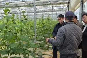 경기도, 중동전쟁 농어민 피해 최소화 ‘비상대응반’ 가동…350억 저리 대출