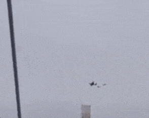 4일(현지시간) 이란에서 실종된 F-15 전투기 조종사 수색 작전을 벌이는 미군 군용기. 2026.4.4 엑스