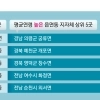 17년간 208만명 줄어든 청년층…수도권 쏠림 56%로 되레 커져