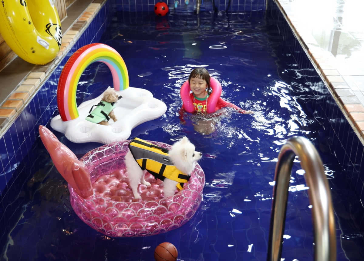 태안에서 반려동물과 함께 . 태안군 제공