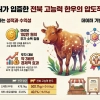 전북도 “좋은 소 제값 받는다”…고능력 한우 표시제 첫 도입