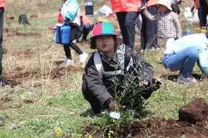 제주 비양도를 올리브섬으로…관광공사, 기후변화 맞춘 식목일 행사