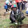 제주 비양도를 올리브섬으로…관광공사, 기후변화 맞춘 식목일 행사