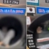 무인빨래방 건조기 들어가 ‘쾅쾅’…선 넘은 장난에 ‘철렁’
