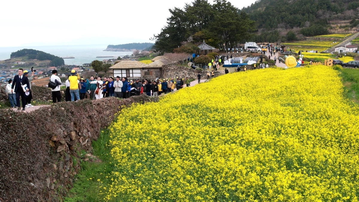 완도 청산도 슬로걷기 축제장 전경.