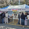 목포 유달산 봄축제장서 ‘목포·신안 통합’ 홍보부스…‘공감·지지’ 성과