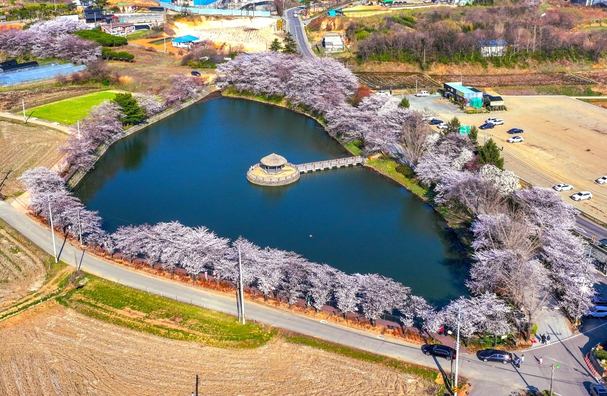 충남 당진시 면천면 골정지 전경. 시 제공