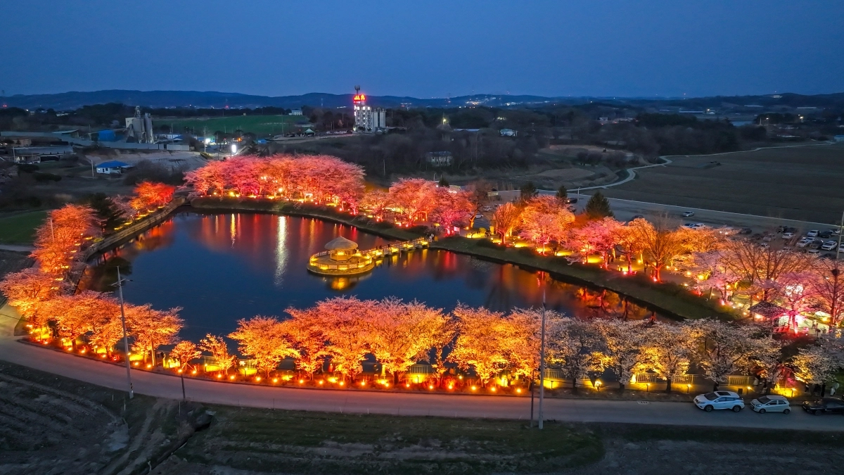 충남 당진시 면천면 골정지 야간 전경. 시 제공