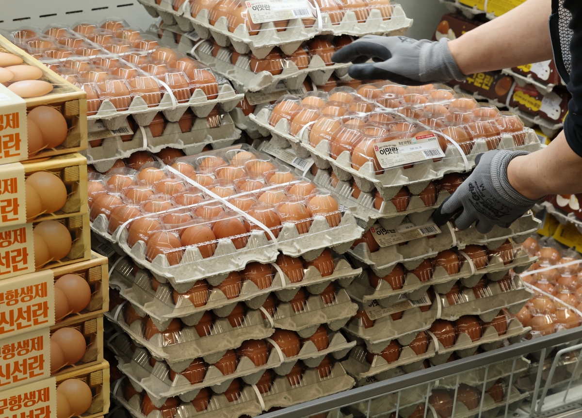 27일 서울의 한 대형마트에 계란이 진열돼 있다. 사진은 기사 내용과 무관함. 2026.3.27 연합뉴스