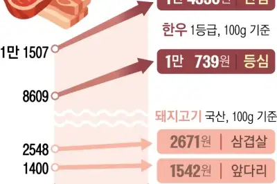 “소 사료비 월 180만원 더 낼 판”… 뛰는 원가에 고깃값 더 뛸라