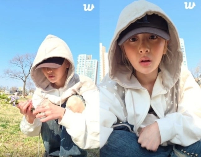 르세라핌 허윤진 위버스 라이브 방송