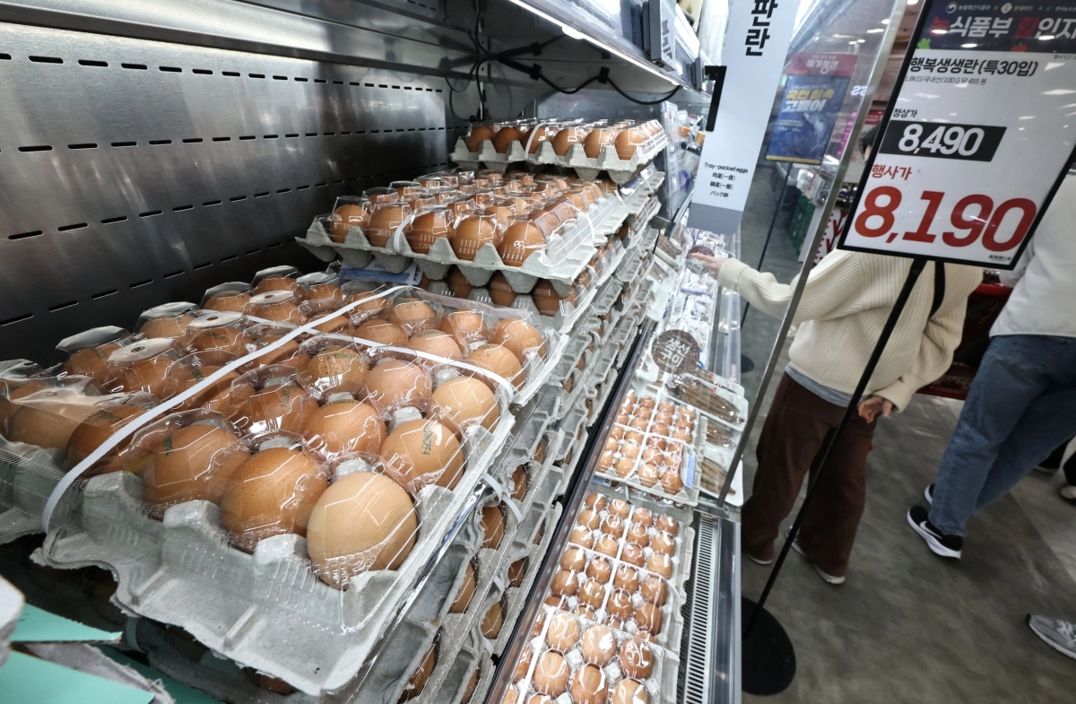 서울 시내의 한 마트에 계란이 진열돼 있다.  연합뉴스