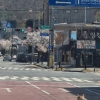 대전 오월드 탈출한 늑대, ‘야간 수색중’…열화상카메라에 암컷 동원