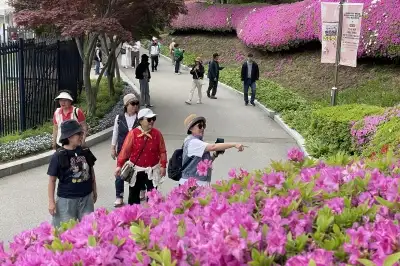 가족 손 잡고 청남대 ‘영춘제’ 꽃놀이