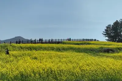 걷고 보고 쉬고… 청산서 ‘치유해 봄’