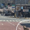 오월드 탈출 늑대, 밤샘 수색에도 못 찾았다…사파리 복귀 골든타임 48시간