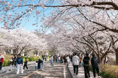 영암왕인문화축제 절정 ‘왕인 문화 주간’ 돌입