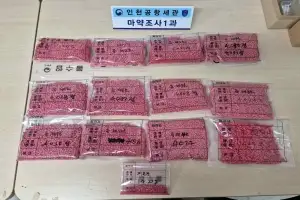 신종 마약 ‘야바’ 22억원치 국제우편으로 밀반입·… 외국인 3명 기소