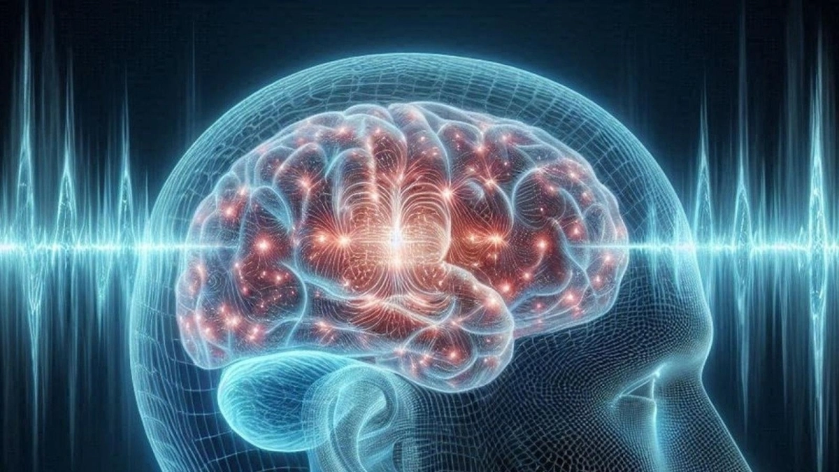 뇌출혈, 뇌졸중 등으로 인해 뇌 속에 남은 신경독성 잔해물을 초음파로 효과적으로 제거할 수 있다는 연구 결과가 나왔다.  영국 치매 연구소 제공