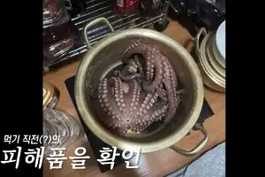 “문어가 자꾸 사라지네” 전통시장 미스터리…몰래 삶아 먹은 50대 덜미 (영상)