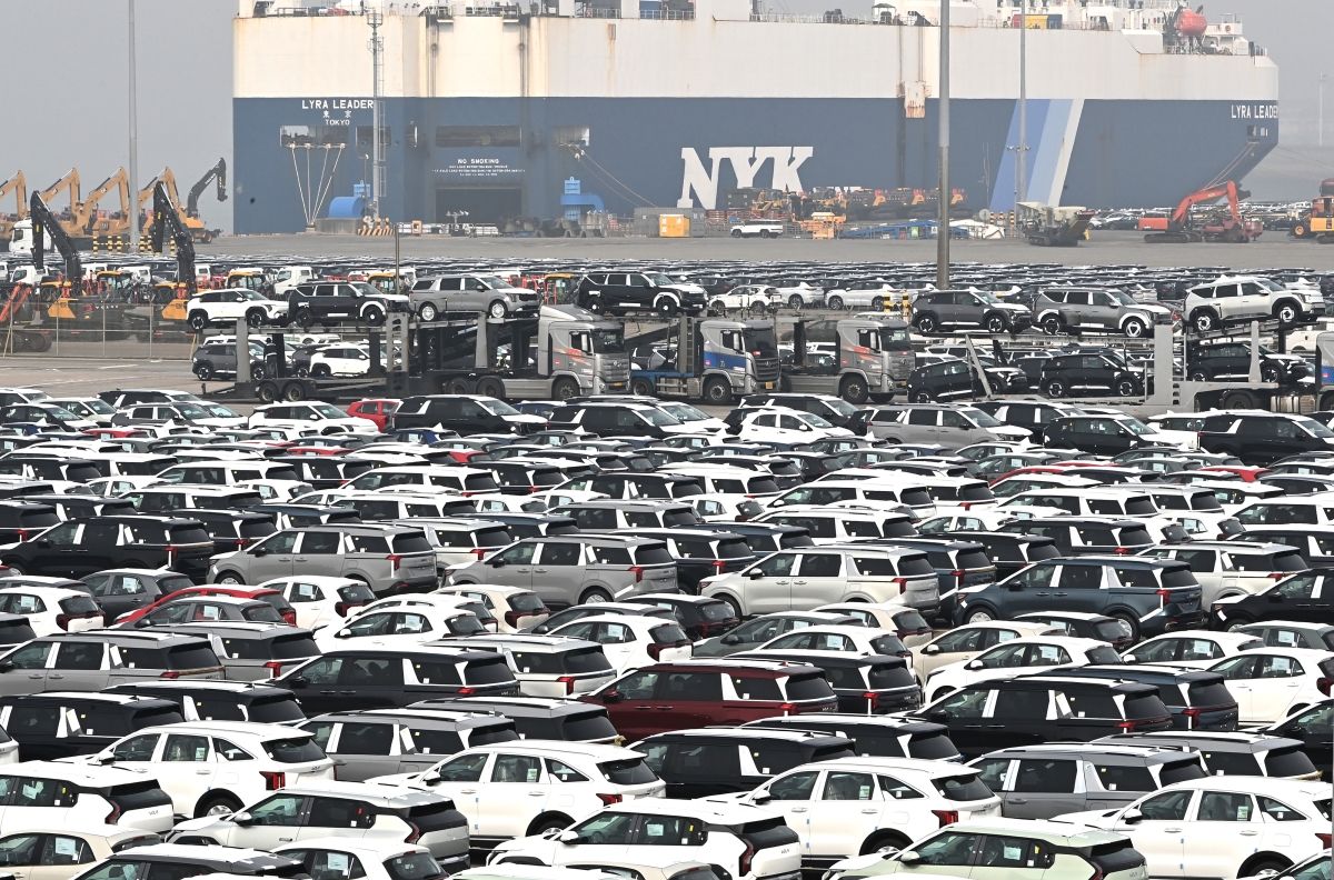 평택항에 세워져 있는 수출용 자동차