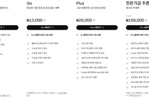 오픈AI, ‘월 15.9만원’ 챗GPT 프로 신설…초고성능 추론 시장 잡는다