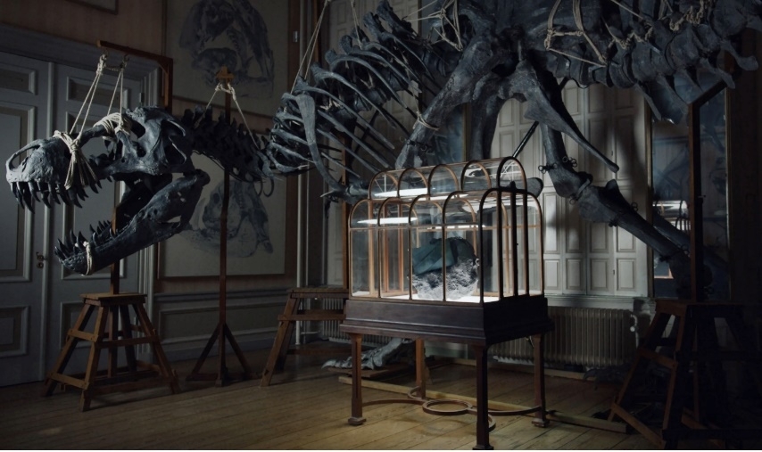 티라노사우루스 렉스 화석에서 추출한 콜라겐을 활용해 만든 가죽 핸드백이 네덜란드 암스테르담의 아트 주 박물관(Art Zoo museum)에 전시돼 있다. VML