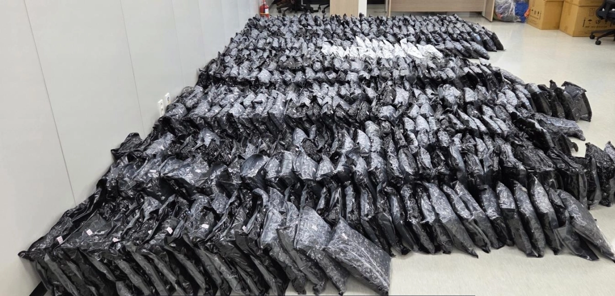 압수된 대마 자료사진. 마약범죄 정부합동수사본부 제공 (기사와 직접 관련 없음)