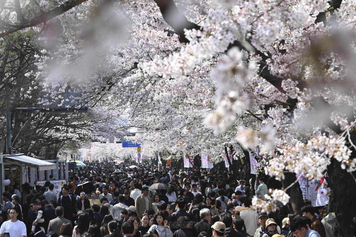 5일 벚꽃이 만발한 서울 영등포구 여의도 윤중로 일대가 나들이 나온 시민들로 북적이고 있다. 2026.4.5 이지훈 기자
