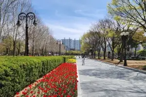 ‘안양 평촌중앙공원’ 새 단장…13만6000 본 형형색색 봄꽃 ‘활짝’