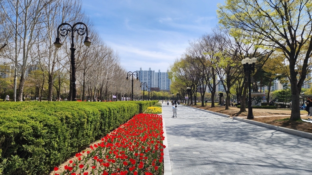 봄꽃이 활짝 핀 평촌중앙공원 풍경(안양시 제공)