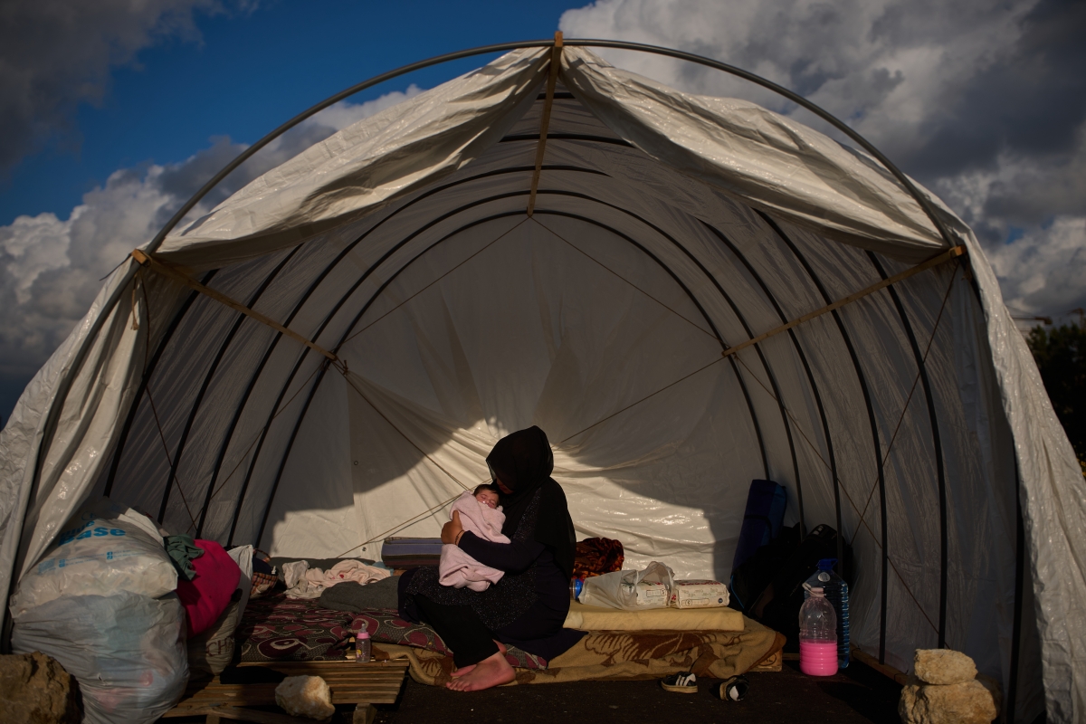 포성 뚫고 피어난 생명… 꿈나라엔 평화만 있기를