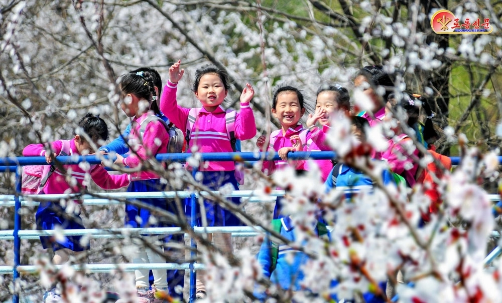 북한 노동당 기관지 노동신문은 13일 ‘수도 곳곳에 넘치는 봄향기’라는 제목의 기사를 통해 평양 시내 봄 풍경을 보도했다.<br>평양 노동신문 뉴스1