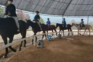 순천 지역 학생들 “승마 체험 신나요”··· 563명 선발