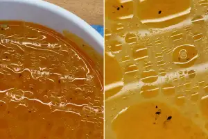 thumbnail - “국물에 벌레 수십마리, 토할 것 같아” 충격적인 샤부샤부 위생 상태 논란 thumbnail - “국물에 벌레 수십마리, 토할 것 같아” 충격적인 샤부샤부 위생 상태 논란