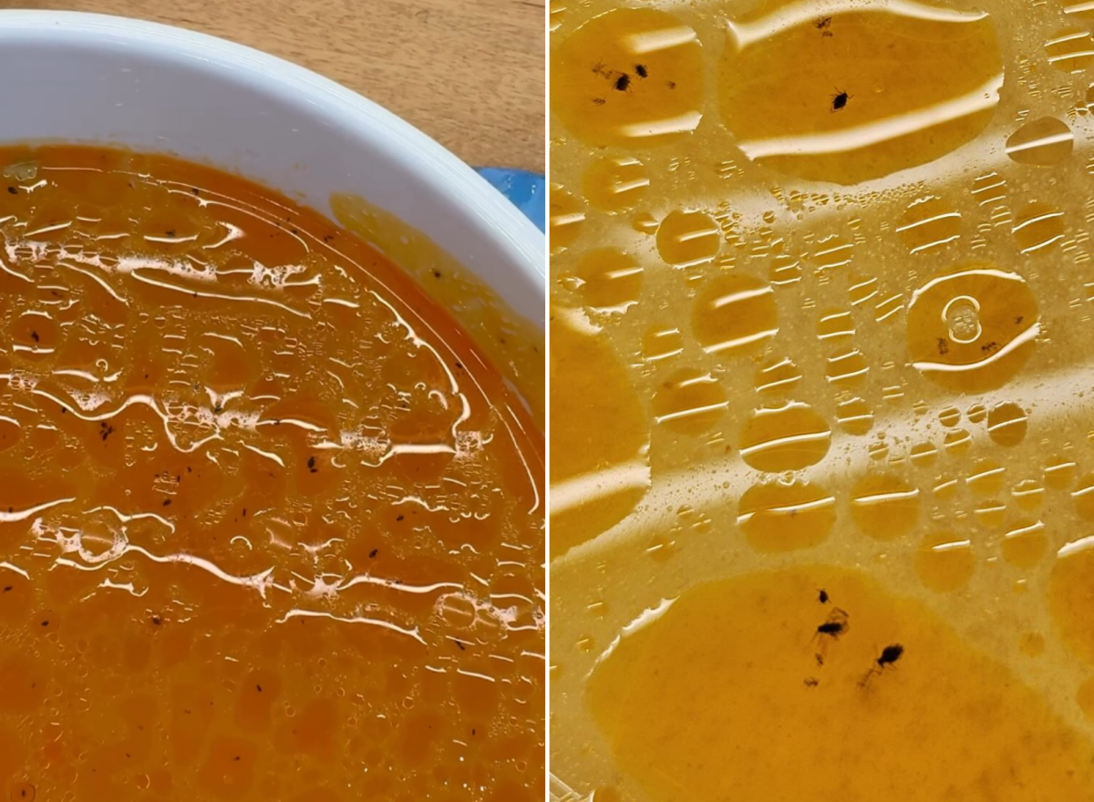 한 샤부샤부 프랜차이즈 지점에서 벌레 수십마리가 떠 있는 국물이 나왔다는 주장이 제기돼 온라인상에서 논란이 되고 있다. 스레드 캡처